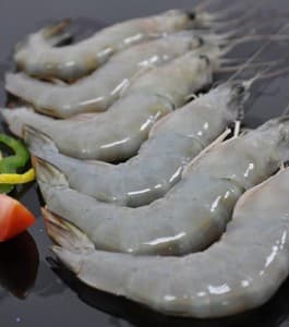 Shrimp and Pangasius